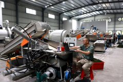 叶、龙赞茶业这种守正立异的成长模式的兴起